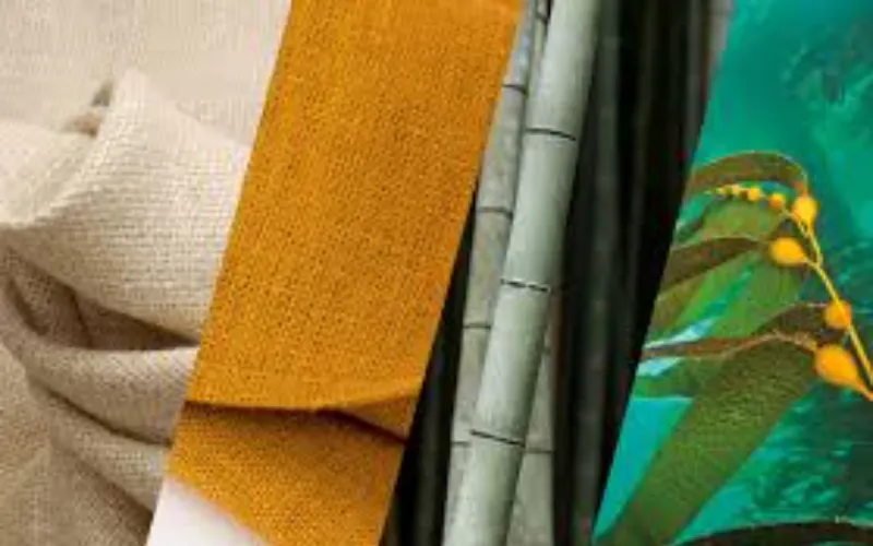 EcoCarry Material Innovation