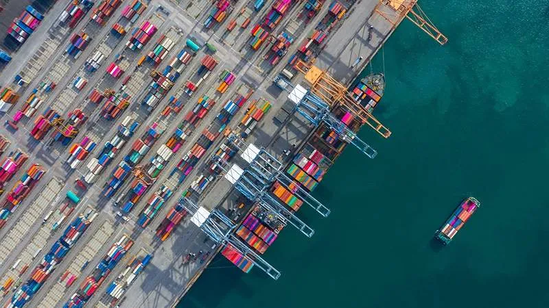 Risk Teardown on Shanghai to Rotterdam