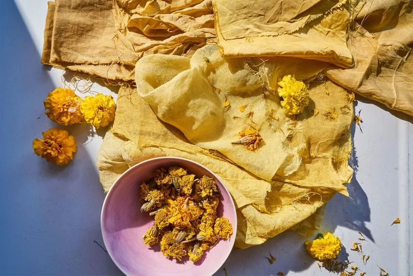 Sustainable Dyeing