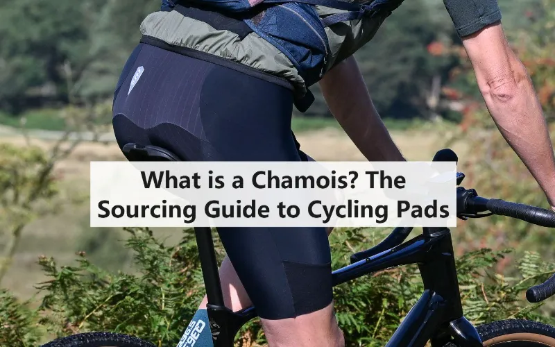 What is a Chamois