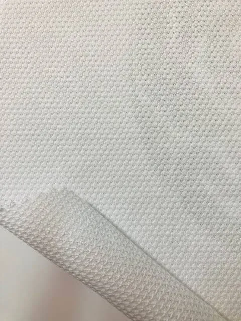 Anti-odor silver ion fabric technology