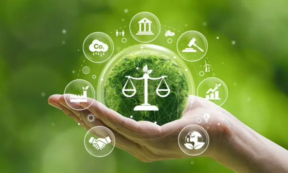 sustainability standards
