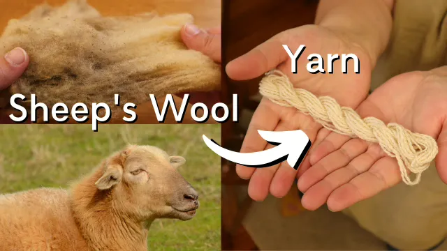 From Sheep to Fabric