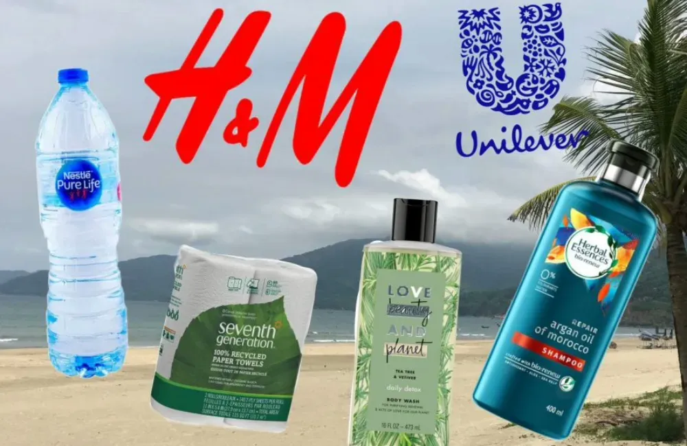 Greenwashing Examples