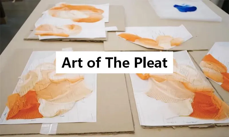 the art of the pleat